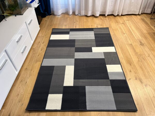 Modern gray rug Carlo 4249 dark gray